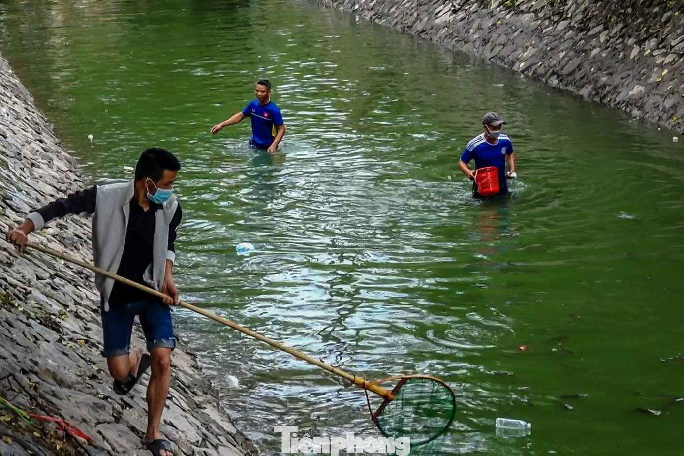 Người dân chia sẻ, cá bắt đầu xuất hiện nhiều từ đầu giờ sáng nay, có người bắt được cả tạ cá chỉ sau vài giờ. Người dân chia sẻ, cá bắt đầu xuất hiện nhiều từ đầu giờ sáng nay, có người bắt được cả tạ cá chỉ sau vài giờ.