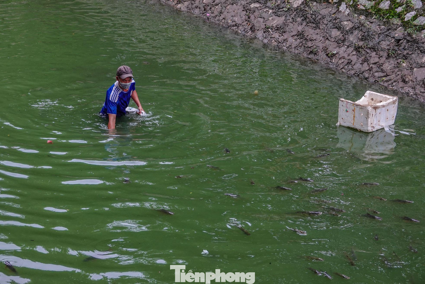 Theo ghi nhận có rất nhiều loài cá xuất hiện như cá chép, trôi, trắm...với đủ kích thước, có con nặng hơn 1kg. Theo ghi nhận có rất nhiều loài cá xuất hiện như cá chép, trôi, trắm...với đủ kích thước, có con nặng hơn 1kg.