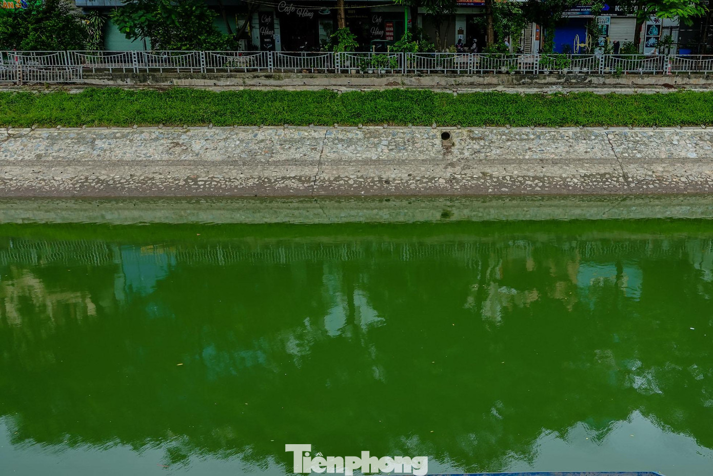 Màu nước "xanh như ngọc" xuất hiện trên sông Tô Lịch. Màu nước "xanh như ngọc" xuất hiện trên sông Tô Lịch.