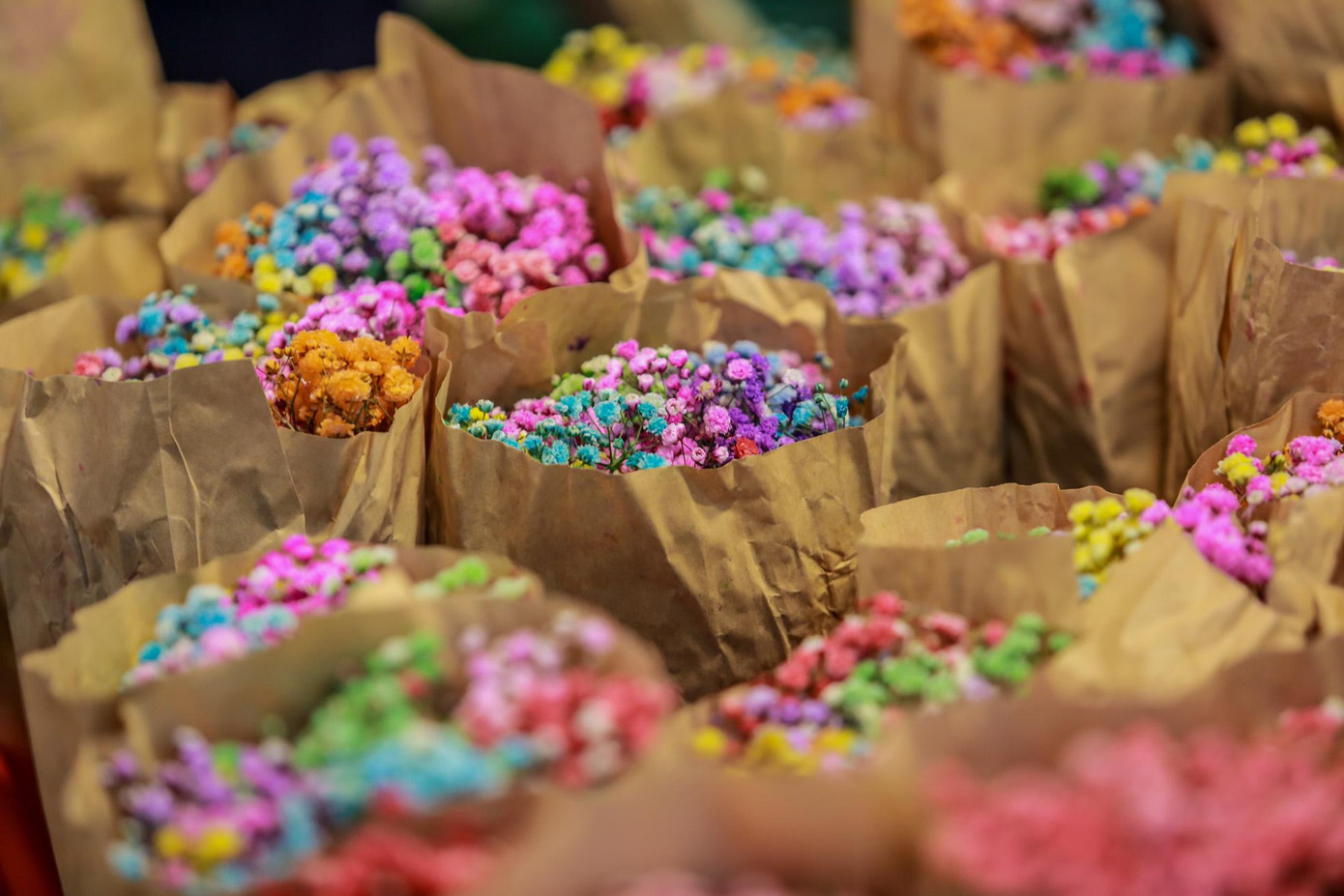 Hoa baby trắng có giá 150.000 đồng/bó, giá hoa baby màu là 100.000 đồng/bó.