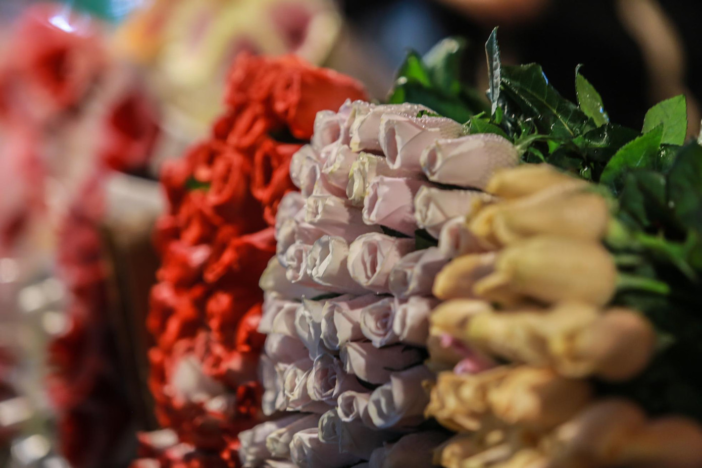 Hoa hồng nhung có giá 300.000 đồng/một bó 60 bông cao hơn gấp rưỡi giá thị trường ngày thường