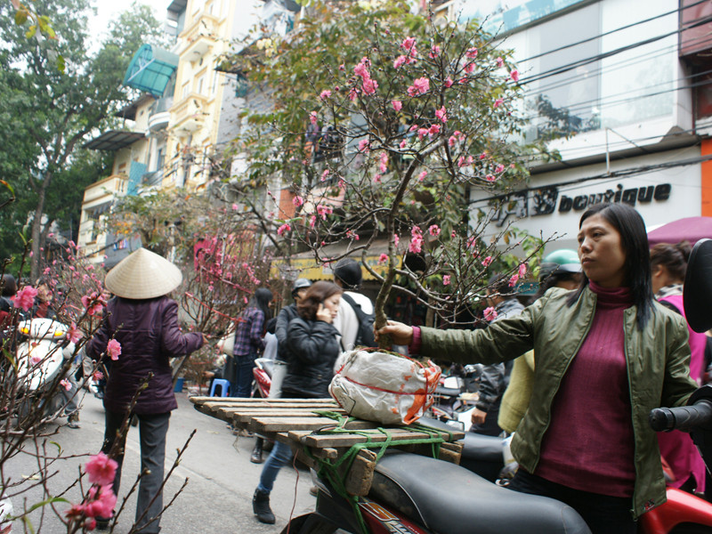 Chợ hoa vỉa hè Hà Nội. Ảnh: N.M