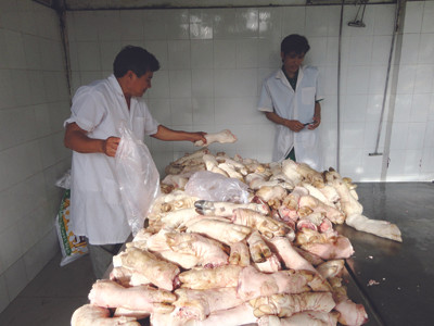 Chân lợn thối từ Đồng Nai bị trạm kiểm dịch động vật Thủ Đức bắt giữ