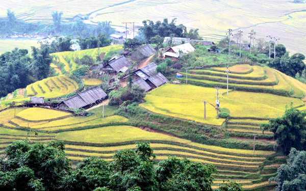 Những ngôi nhà nhỏ của cư dân nơi đây được bao bọc bởi xung quanh là ruộng lúa