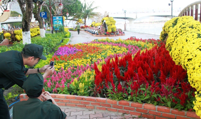 Đây lần đầu tiên, đường hoa Xuân Đà Nẵng được tổ chức quy mô, với kinh phí lên đến 17 tỷ đồng. Đường hoa Xuân Bạch Đằng kéo dài từ ngã 3 đường Bạch Đằng - Phan Đình Phùng đến ngã 3 đường Bạch Đằng - Lê Văn Duyệt, với chiều dài ước tính 1 km, chiều rộng khoảng 11,7 m, có tổng diện tích thiết kế là 11.508 m2