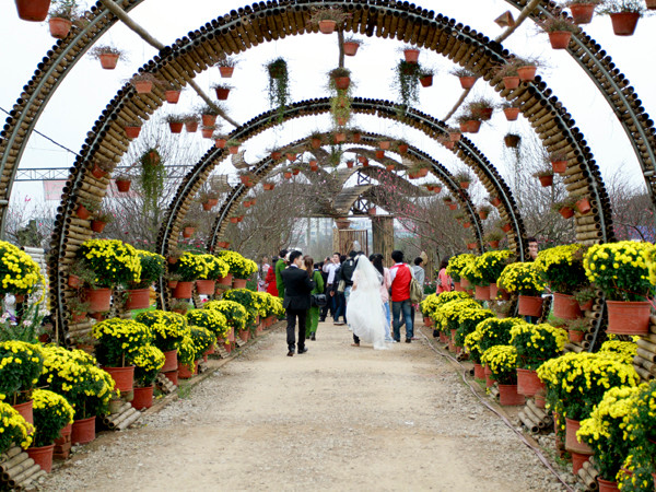 Đặc biệt, năm nay ở làng hoa Nhật Tân có sự xuất hiện của những công viên thu hút đông đảo giới trẻ đến