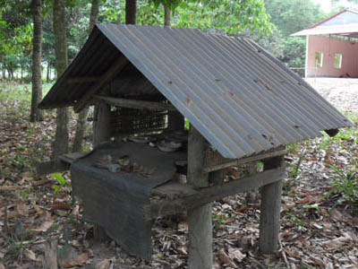 Những ngôi mộ có chôn rắn độc bên cạnh 