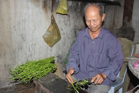 Vụ “con ruồi” giá 500 triệu đồng - Cái giá của sự thiếu hiểu biết ảnh 1