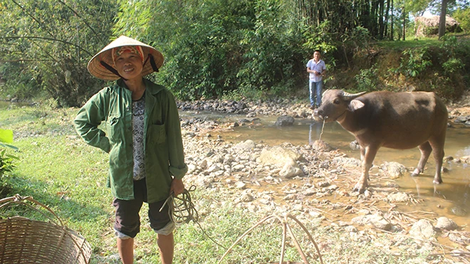 Tiếp vụ xây cầu phục vụ chủ tịch xã: 'Báo cáo láo thế' ảnh 2