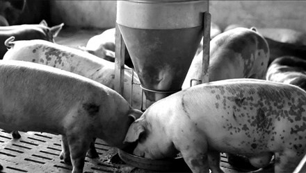 Thay đổi để làm giàu! ảnh 1