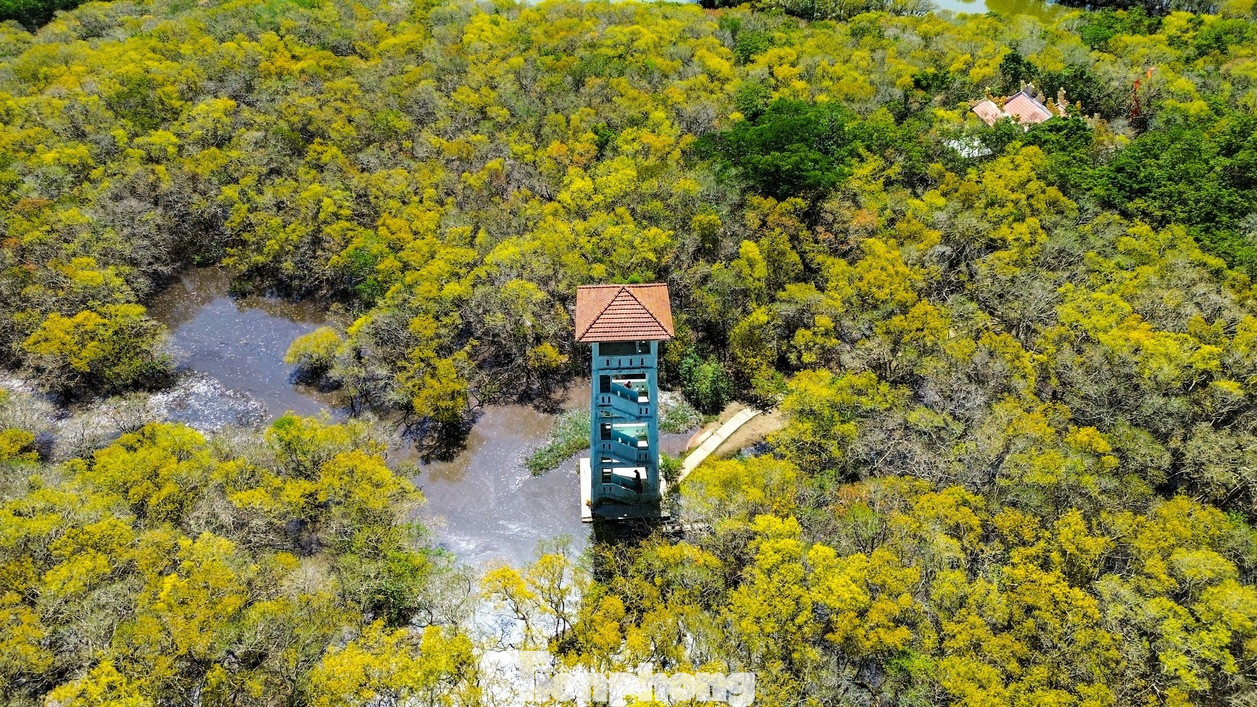 Ngoài những lăng tẩm, điểm đến mang đậm dấu ấn văn hóa, lịch sử của Huế, du khách còn say mê với cảnh sắc thiên nhiên nơi đây. Rừng ngập mặn Rú Chá (khu vực đầm phá Tam Giang - Cầu Hai) ngày càng thu hút du khách yêu thích vẻ đẹp hoang sơ.