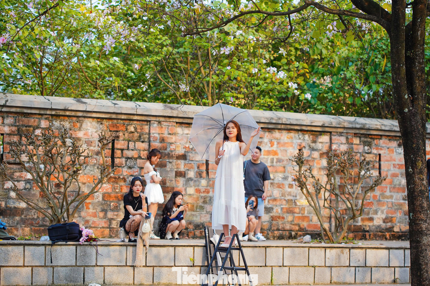 Nhiều cô gái chuẩn bị phụ kiện để đu trend hoa ban, thậm chí lên kế hoạch cả tuần trước đó. Có không ít người thuê trang phục, trang điểm, làm tóc, nhiếp ảnh gia chuyên nghiệp để có bộ ảnh ấn tượng nhất.