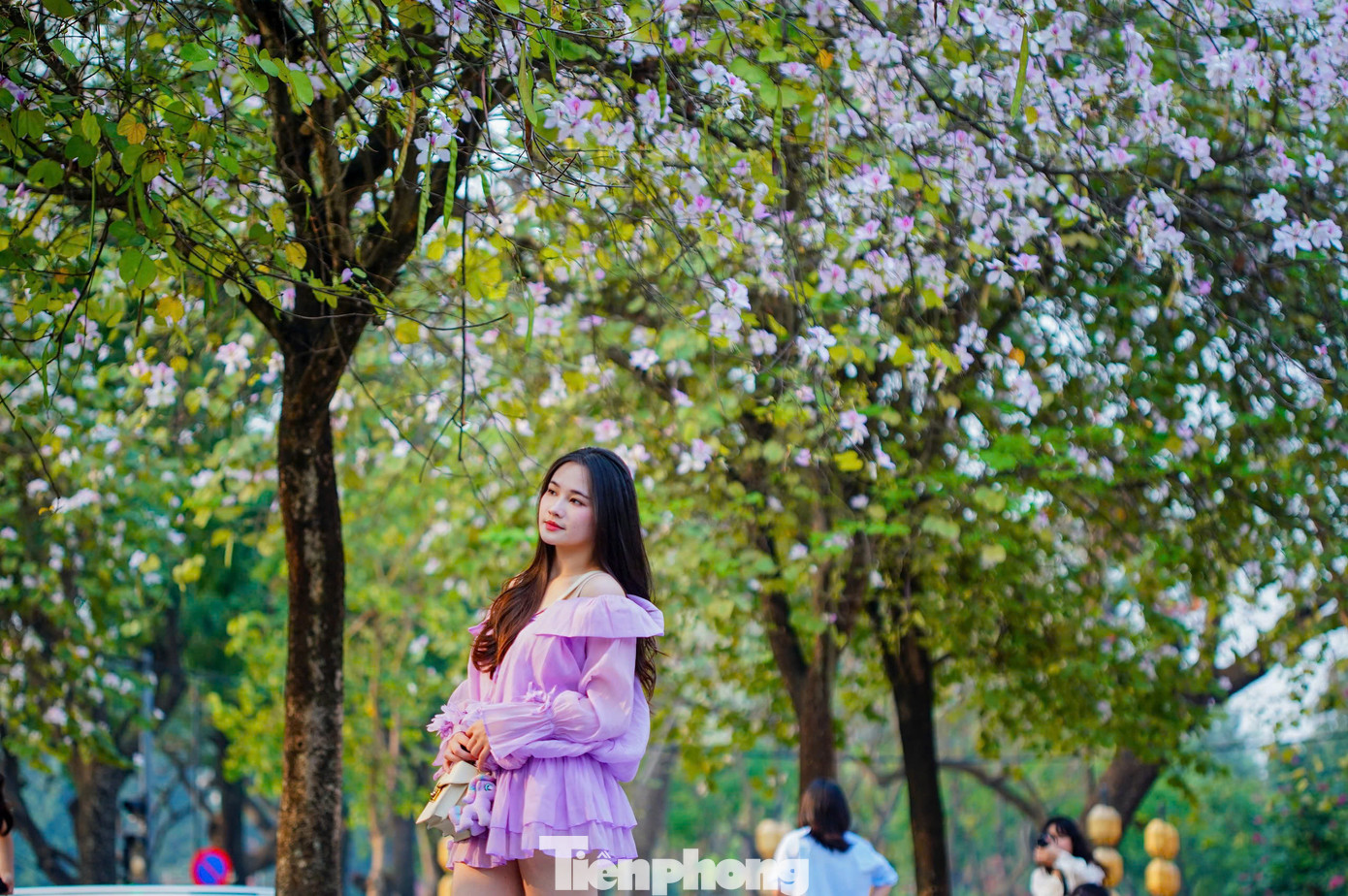 Tuyến đường dài 100 m trồng hàng chục cây hoa ban bung nở, từ lâu đã trở thành điểm check in không thể bỏ qua dịp cuối xuân, đầu hè. Các cô gái chọn trang phục có màu sắc nhẹ nhàng như trắng, hồng, tím để phù hợp với không gian đầy lãng mạn này.