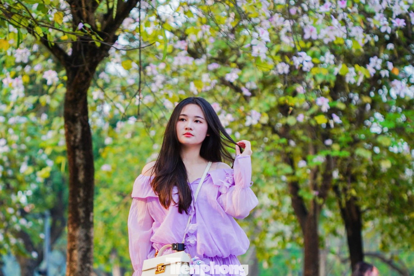 Tuyến đường dài 100 m trồng hàng chục cây hoa ban bung nở, từ lâu đã trở thành điểm check in không thể bỏ qua dịp cuối xuân, đầu hè. Các cô gái chọn trang phục có màu sắc nhẹ nhàng như trắng, hồng, tím để phù hợp với không gian đầy lãng mạn này.