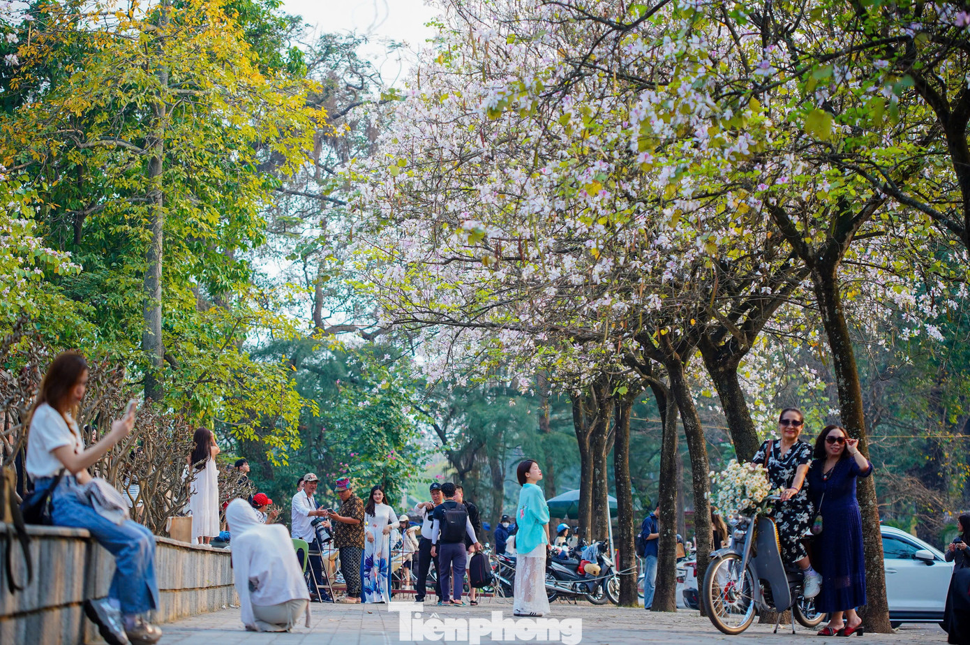 Thời tiết nắng đẹp, nhiệt độ 22-27 độ C, lý tưởng để du khách, người dân thủ đô ghé thăm, check in bên những hàng hoa ban rực rỡ.