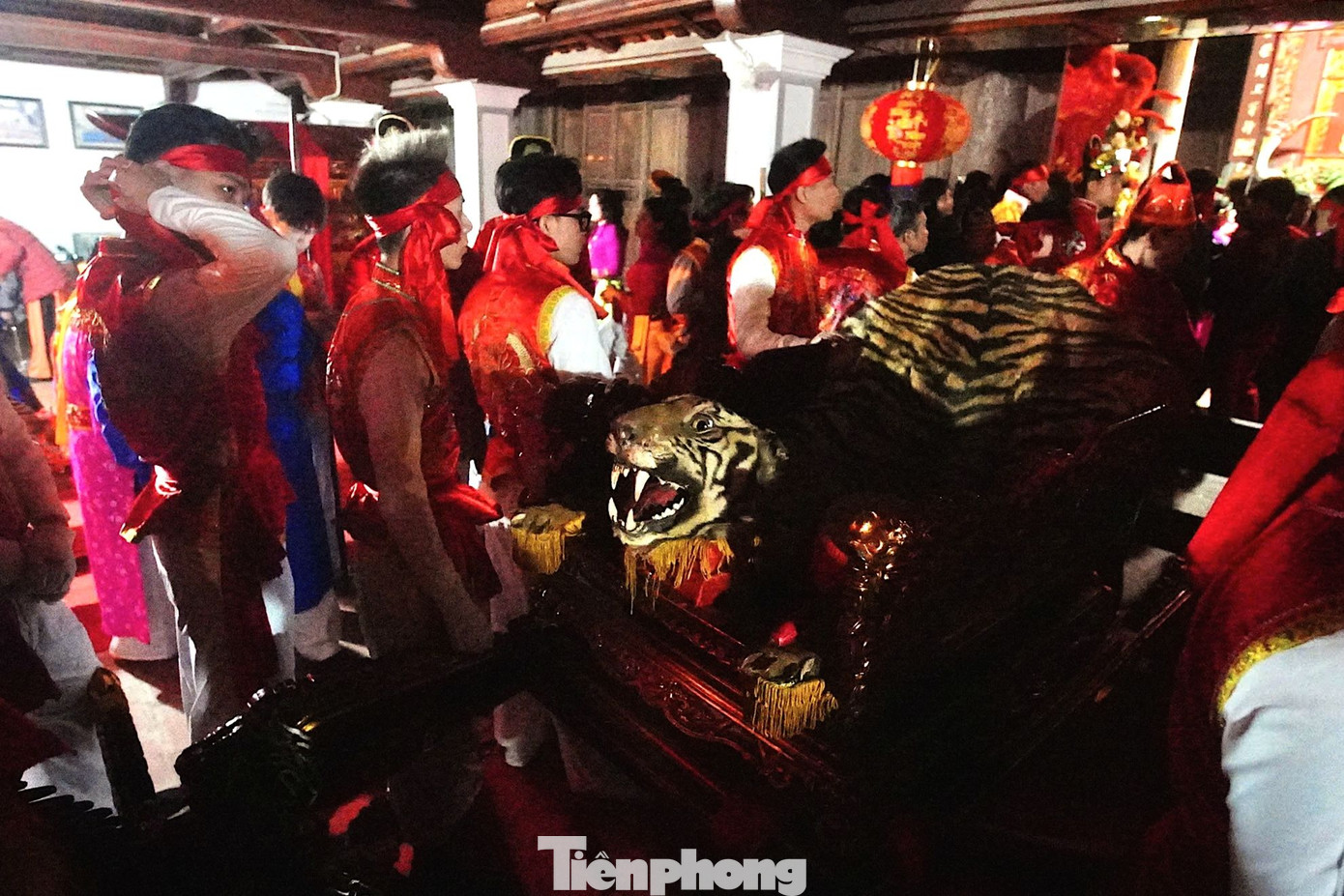 Đến lúc này, nghi lễ đánh hổ chính thức khép lại. Ngoài sân, BTC đã chuẩn bị đầu và da một con hổ thật được đặt sẵn trên kiệu để sẵn sàng cho màn rước kiệu.