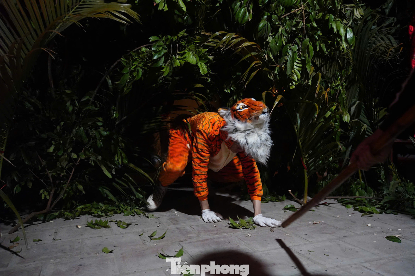 Để tái hiện tích xưa, một nam thanh niên khoác bộ da hổ tượng trưng, đóng giả chúa Sơn lâm giao chiến với đoàn thợ săn mang theo đao kiếm, giáo mác và trống chiêng do vị tướng lãnh đạo tại khu rừng giả định được dựng lên ở đình làng.