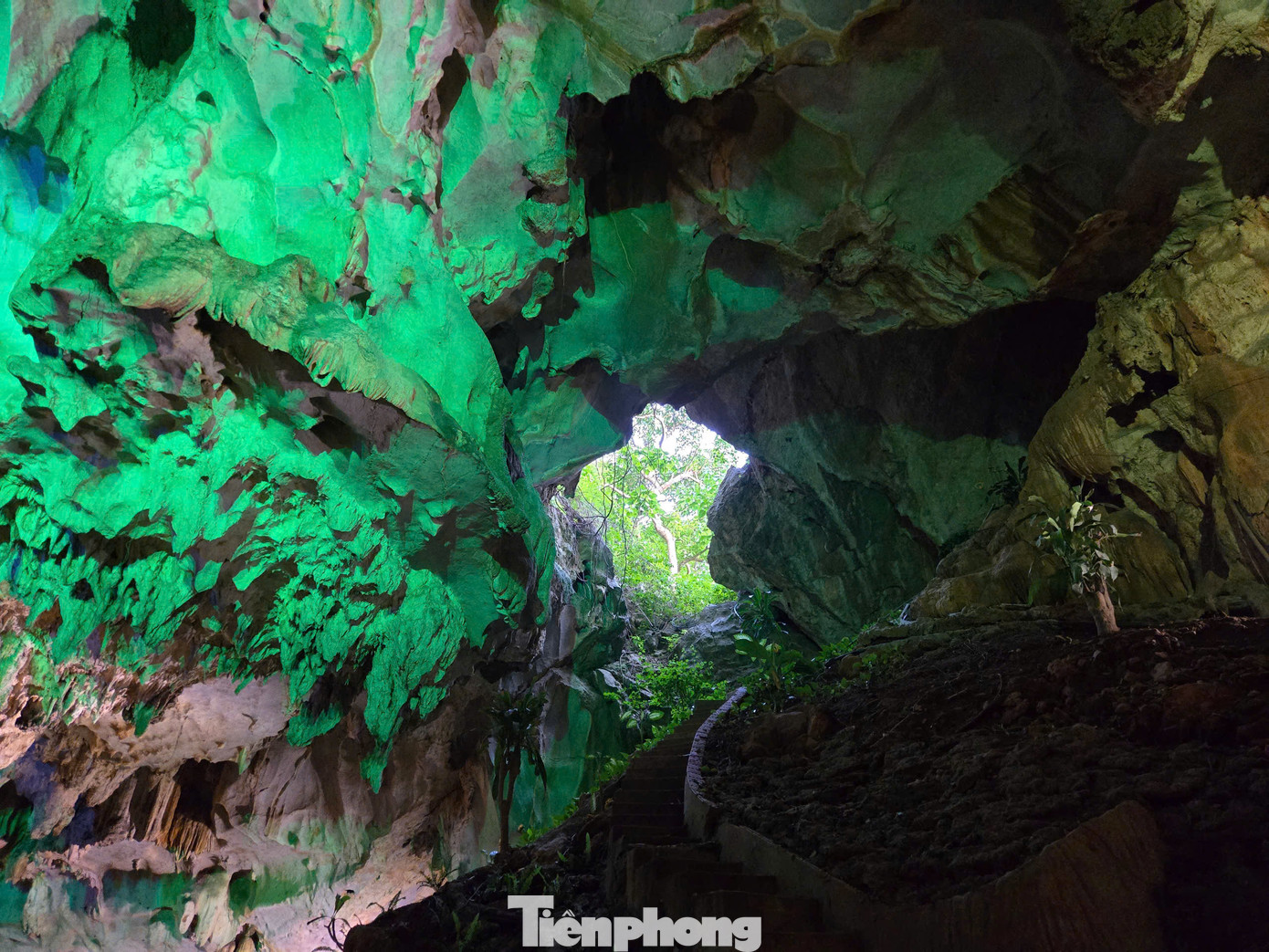 Khoang đầu tiên của hang Ngọc Rồng đón trọn ánh sáng tự nhiên từ trên đỉnh trở thành khu vực tiếp đón khách trước khi đi sâu vào khoang thứ hai rộng lớn hơn, nơi diễn ra trải nghiệm ẩm thực và giải trí.