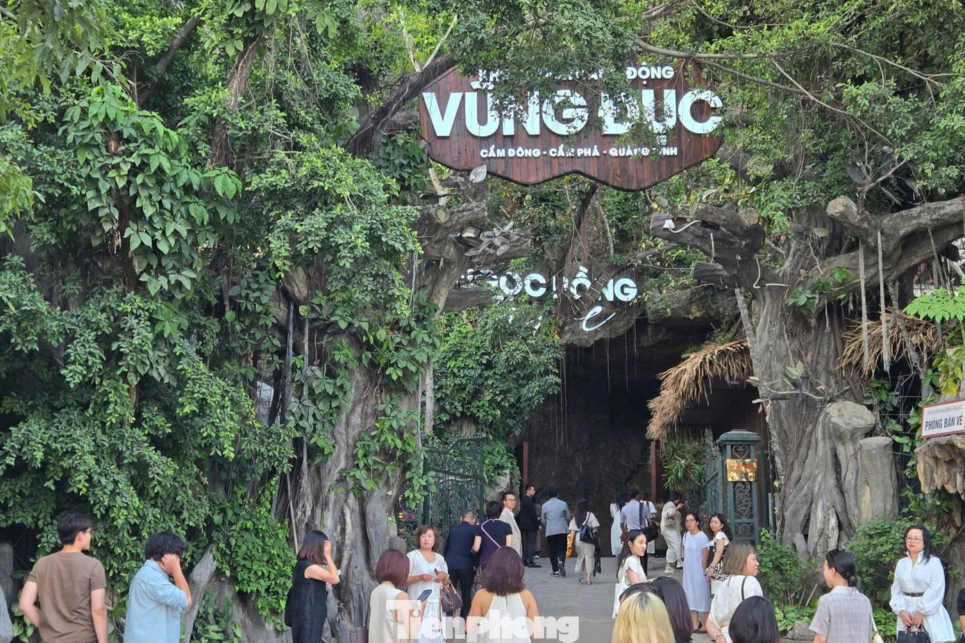 Hang Ngọc Rồng (hang Dơi) là một trong những hang động lớn nhất tại vịnh Bái Tử Long, thuộc quần thể khu di tích và danh thắng Vũng Đục (Cẩm Phả, Quảng Ninh). Tọa lạc tại chiều cao 45 m so với mực nước biển, hang động này được hình thành từ 150 triệu năm trước và trở thành không gian tổ chức chuỗi hoạt động trải nghiệm đa dạng trong lòng hang với vô vàn khối măng đá, thạch nhũ huyền ảo.