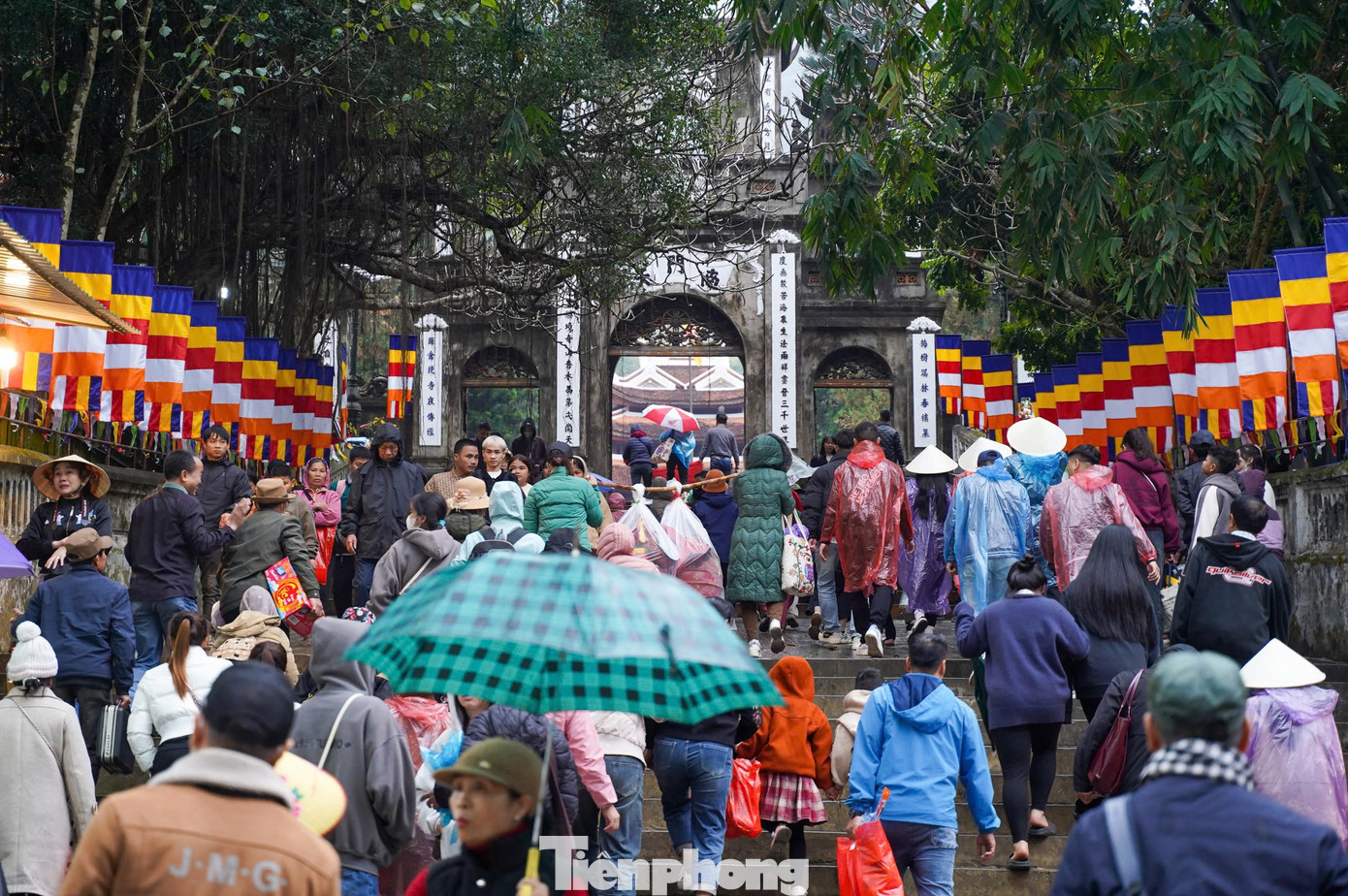 Du khách khi di chuyển trên đò sẽ được trang bị đầy đủ áo phao, giỏ đựng rác, ô che nắng, che mưa, ghế ngồi, nước uống miễn phí... Năm 2025, có khoảng 4.000 thuyền được đưa vào sử dụng, phục vụ du khách. Với khoảng 4.000 đò, đại diện BTC khẳng định phục vụ được tối đa 6-7 vạn khách cùng lúc.