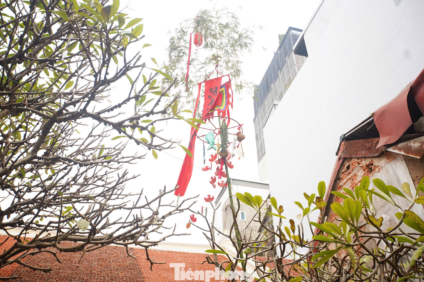 "Cây nêu theo tín ngưỡng để báo cho tổ tiên biết đường về. Cây nêu được coi là gạch nối ba yếu tố tam tài - trời, đất và con người. Cây nêu đối với người dân Việt Nam không chỉ mang ý nghĩa tâm linh, ý nghĩa văn hóa và còn có ý nghĩa trang trí nhà cửa trong dịp Tết đến", TS. Trần Đoàn Lâm nêu.