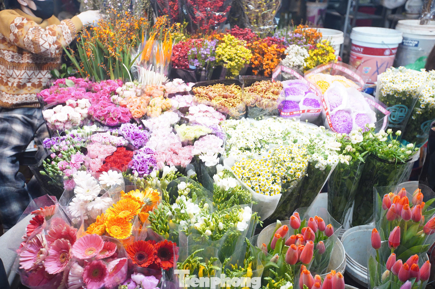 Nguồn cung hoa năm nay khá dồi dào, mỗi loại hoa được lấy từ các nguồn khác nhau. Hoa đào nhập từ Nhật Tân, cúc từ làng hoa Tây Tựu, các loại tulip và hoa lan từ Mộc Châu, Đà Lạt, hoa ly, đồng tiền, lay ơn từ các vùng Mê Linh, Đông Anh, Gia Lâm, Phúc Yên…
