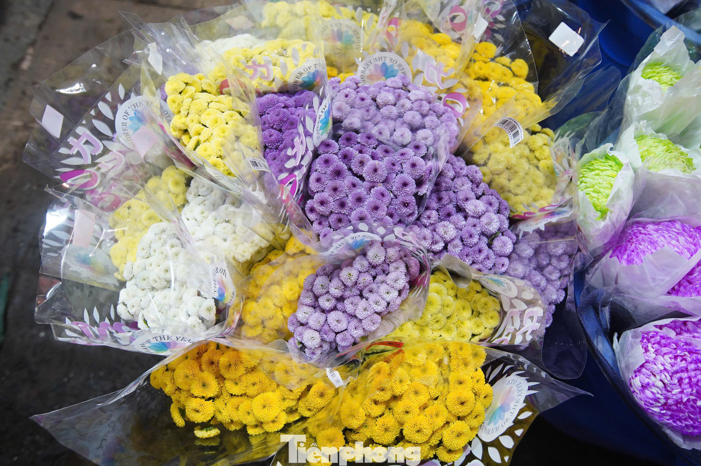 Nguồn cung hoa năm nay khá dồi dào, mỗi loại hoa được lấy từ các nguồn khác nhau. Hoa đào nhập từ Nhật Tân, cúc từ làng hoa Tây Tựu, các loại tulip và hoa lan từ Mộc Châu, Đà Lạt, hoa ly, đồng tiền, lay ơn từ các vùng Mê Linh, Đông Anh, Gia Lâm, Phúc Yên…