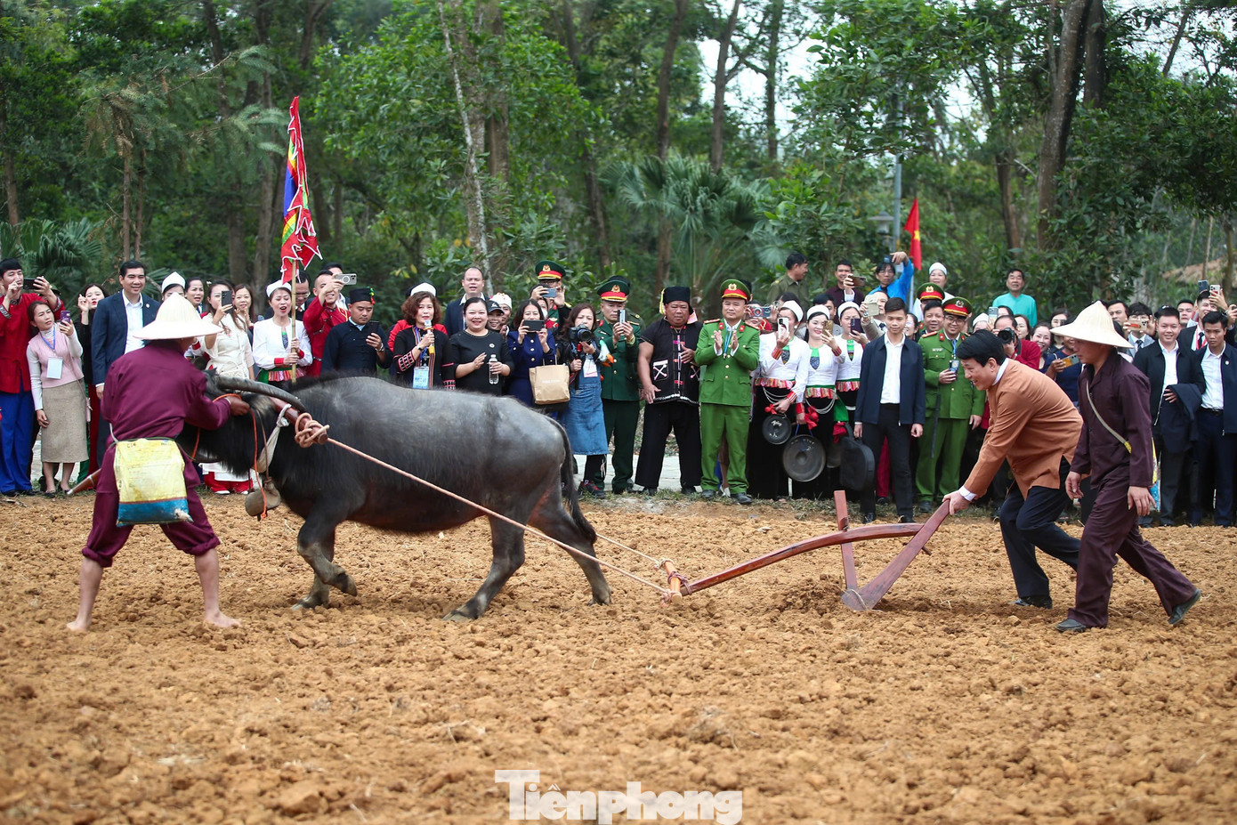 Sau lễ khai mạc, Chủ tịch nước và các đại biểu tham dự các hoạt động trong khuôn khổ ngày hội như nghi thức mở cửa tháp của dân tộc Chăm tỉnh Ninh Thuận, lễ hội Khai hạ và giới thiệu trình diễn Lịch Tre - Di sản văn hóa phi vật thể quốc gia của dân tộc Mường, Hòa Bình và trồng cây lưu niệm.