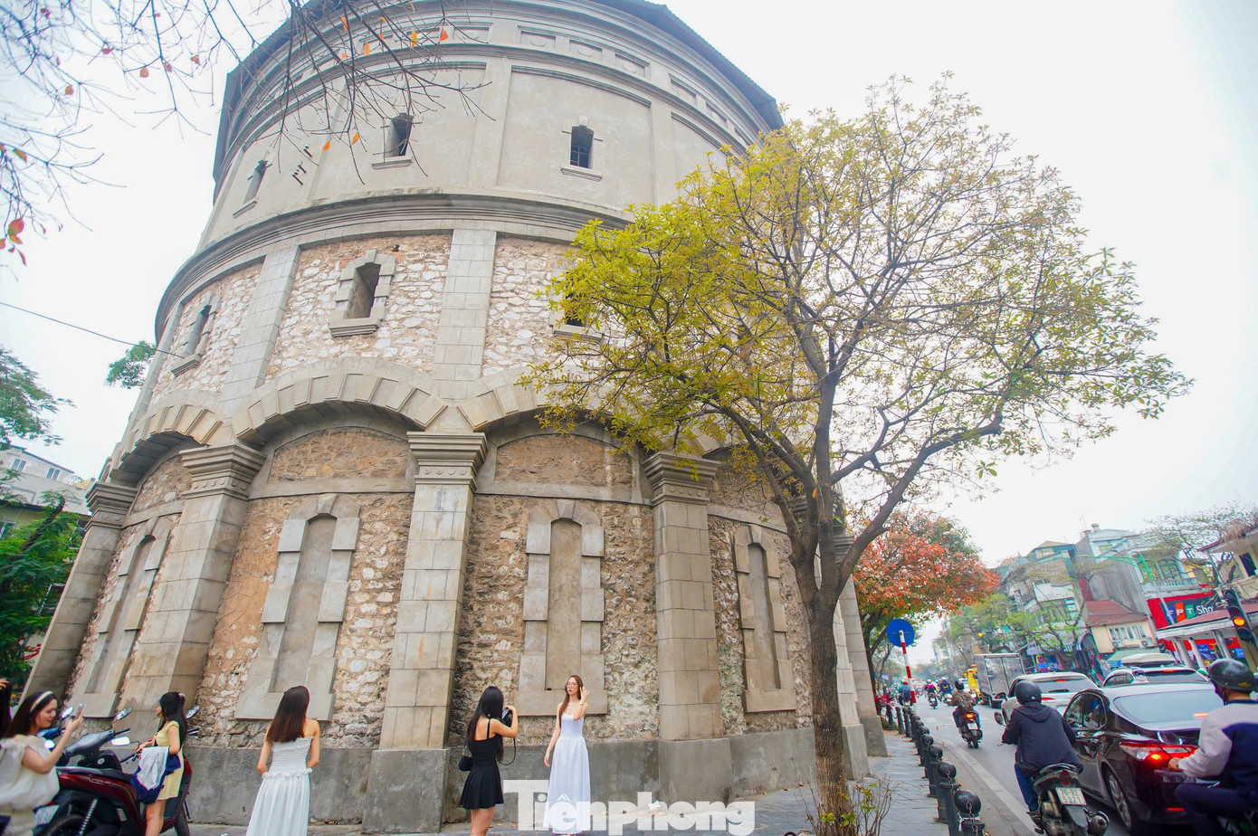 Thời gian lộc vừng thay lá vào khoảng tháng 3, lá sẽ ngả vàng rất nhanh, chỉ trong khoảng từ 2-3 ngày.