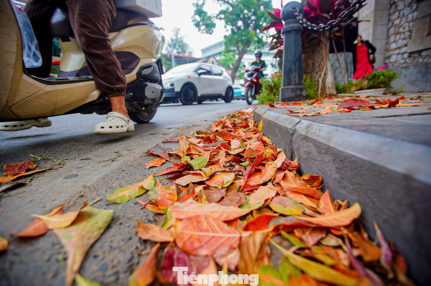 Tháp nước Hàng Đậu mang đậm phong cách kiến trúc châu Âu kết hợp cùng lá lộc vừng đỏ, tạo nên khung cảnh ngỡ như các nước châu Âu. Đây cũng là lý do điểm đến này trở nên thu hút mỗi khi tháng 3.