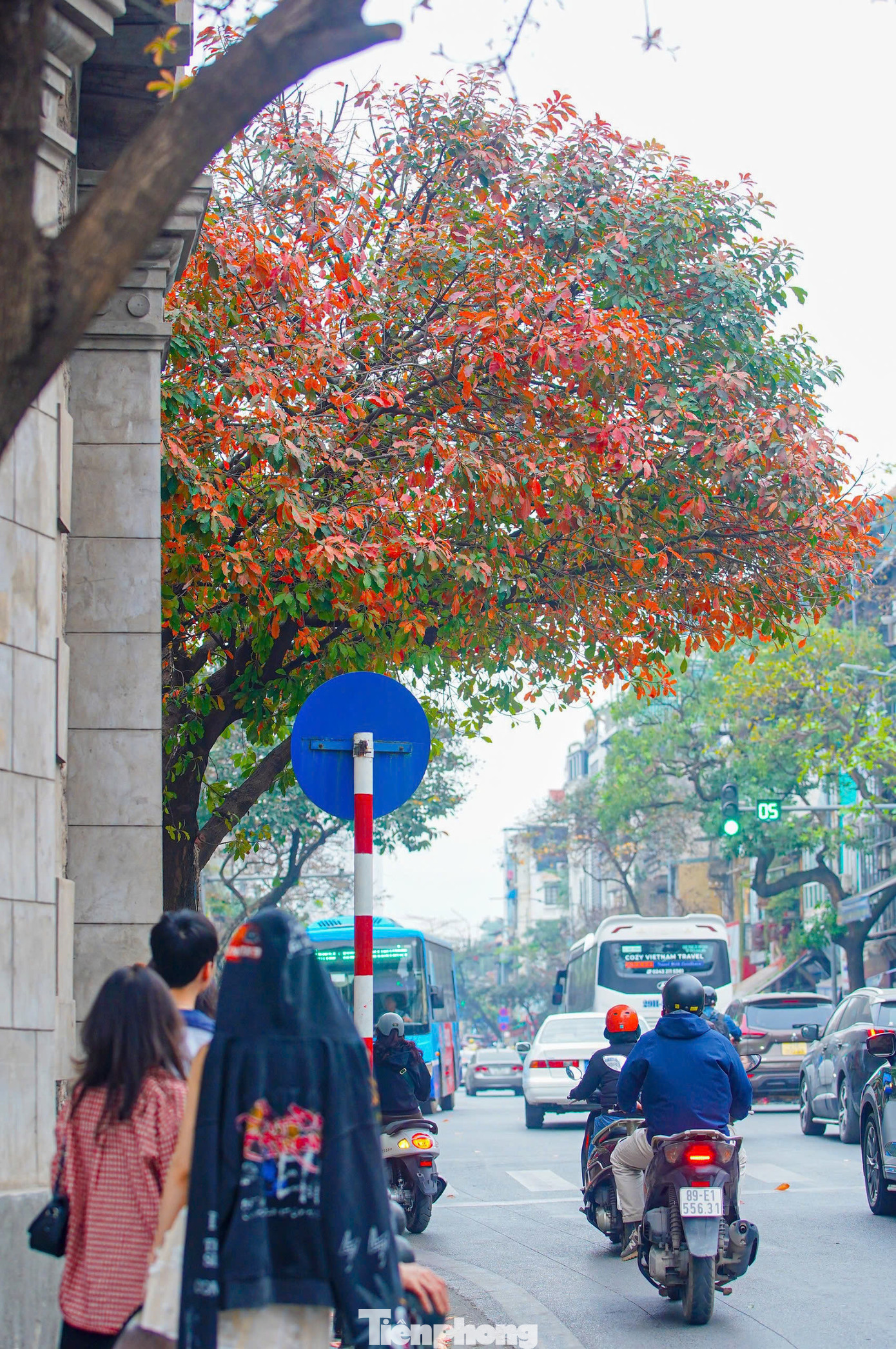 Việc sắm sửa đạo cụ là cần thiết để có những bức ảnh đẹp, khoe lên mạng xã hội.