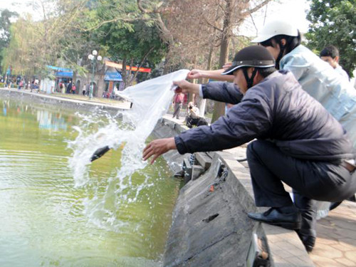 Thả cá xong, mọi người đều có ý thức bỏ túi nylon vào thùng rác