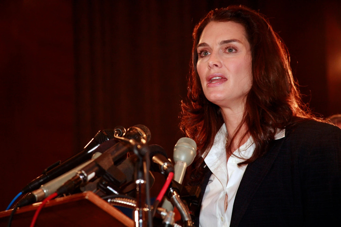 Năm 2007, Shields ủng hộ luật mới hỗ trợ các bà mẹ bị trầm cảm sau sinh. Người đẹp chia sẻ từng trải qua quãng thời gian khó khăn đó sau khi sinh con gái đầu lòng. Dự luật đã được thông qua vào năm 2010. Ảnh: Getty Images.