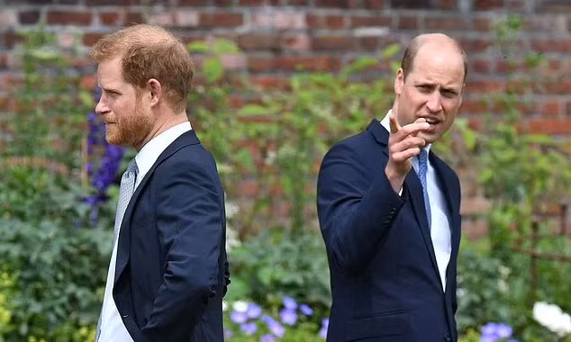 Hoàng tử William và Harry không có kế hoạch nói chuyện với nhau trong lễ đăng cơ. Ảnh: Getty Images.