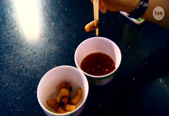 Thí sinh Next Top Ba Lan sợ hãi nếm thử nhộng, tiết canh ảnh 1