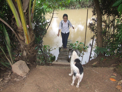 Năm 2020, khi trở thành nước công nghiệp, Việt Nam có nguy cơ thiếu nước trầm trọng. Trong khi đó, cảnh nước sông ngoạm sát vườn như một ngôi nhà ven sông Tiền này sẽ phổ biến hơn. Ảnh: QD