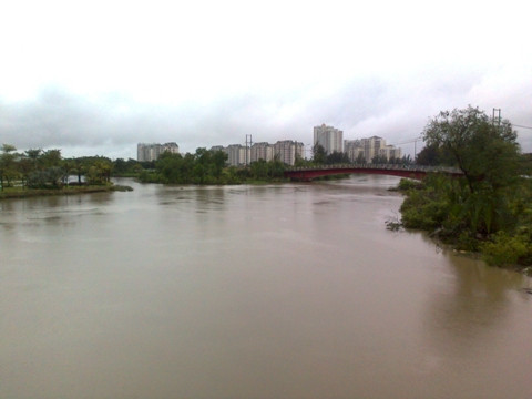 Nước ngập trắng xóa