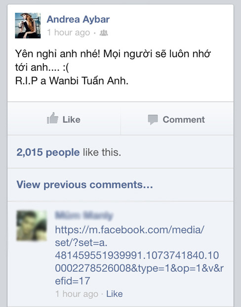 Người mẫu Andrea Aybar