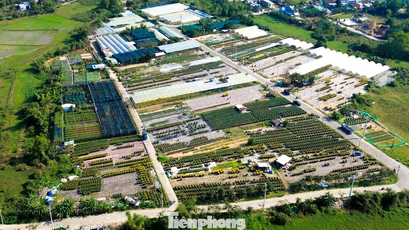 Làng hoa Dương Sơn (xã Hòa Châu, huyện Hòa Vang, TP. Đà Nẵng) là làng trồng hoa lâu năm và lớn nhất tại Đà Nẵng. Hàng năm nơi đây cung cấp hàng triệu giỏ hoa cho địa phương và các tỉnh lân cận.