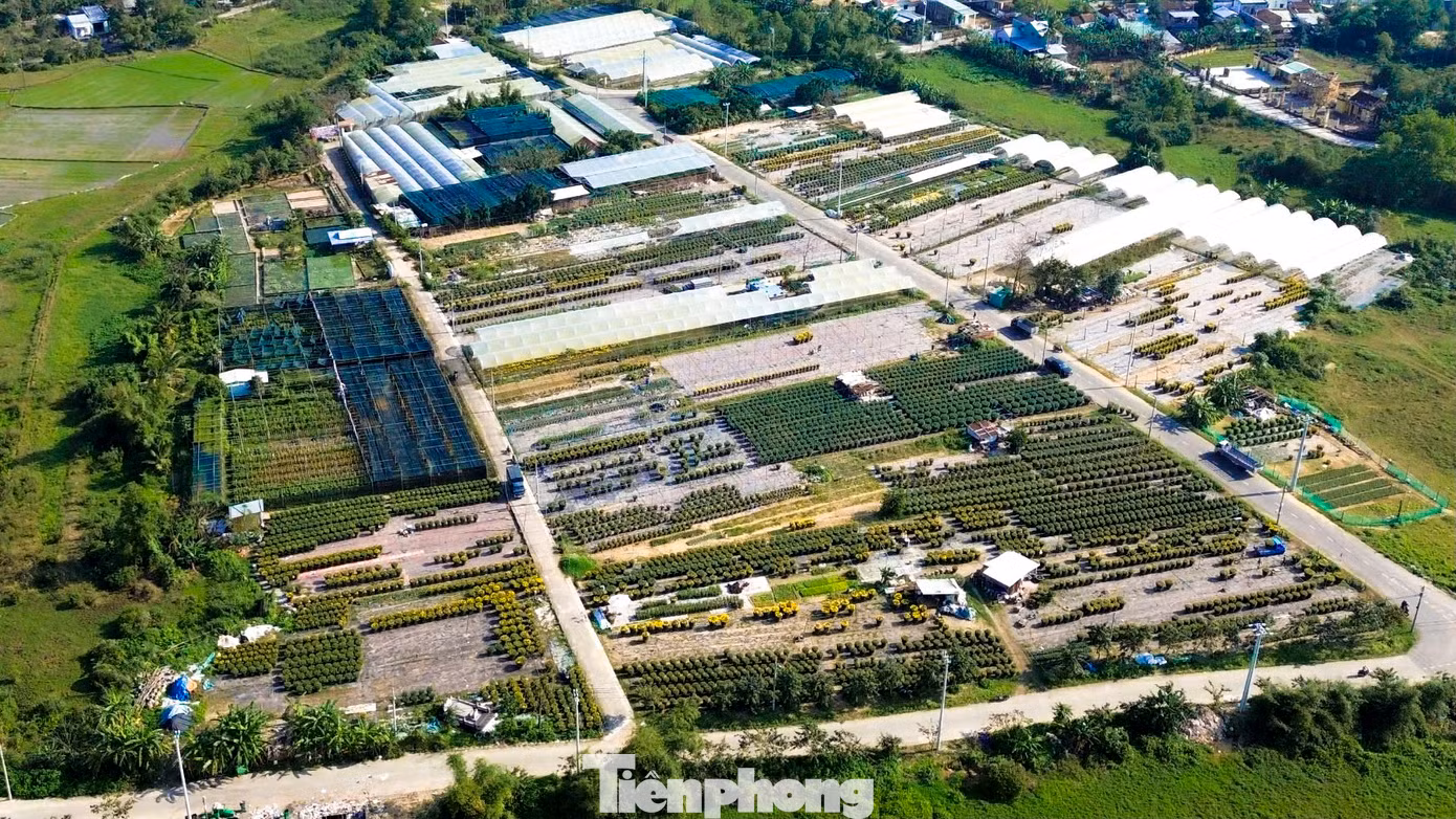 Làng hoa Dương Sơn (xã Hòa Châu, huyện Hòa Vang, TP. Đà Nẵng) là làng trồng hoa lâu năm và lớn nhất tại Đà Nẵng. Hàng năm nơi đây cung cấp hàng triệu giỏ hoa cho địa phương và các tỉnh lân cận.