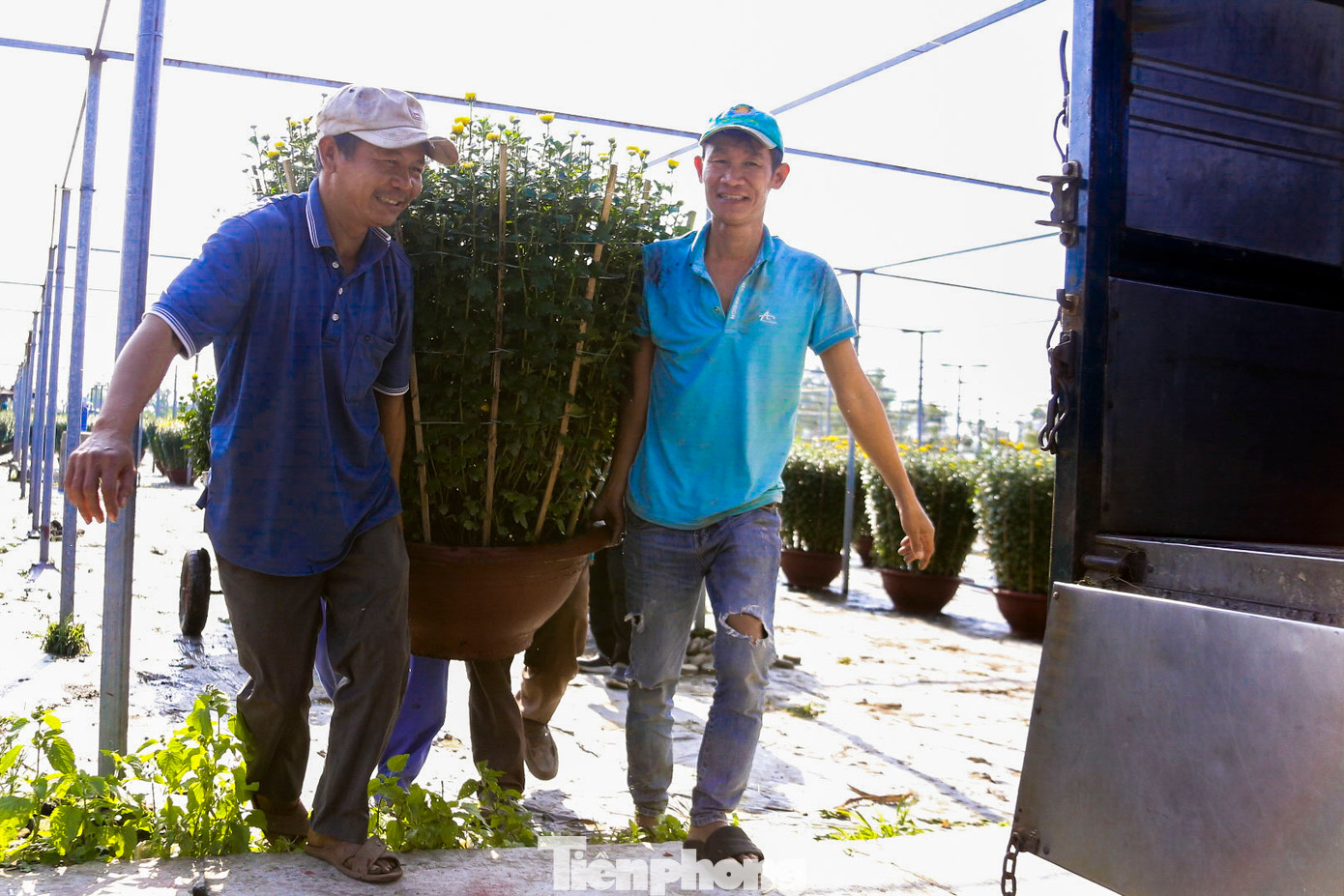 Những chuyến xe đầy ắp sắc hoa rời đi, mang lại niềm vui cho mỗi gia đình trong những ngày giáp Tết, giúp họ có thêm nguồn thu nhập đáng kể để đón Tết ấm no.