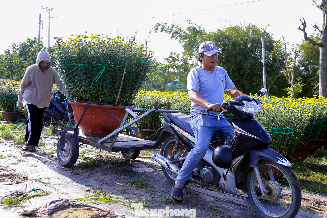 Công việc bốc vác, chở hoa thuê dịp Tết giúp nhiều người kiếm thu nhập tiền triệu mỗi ngày.