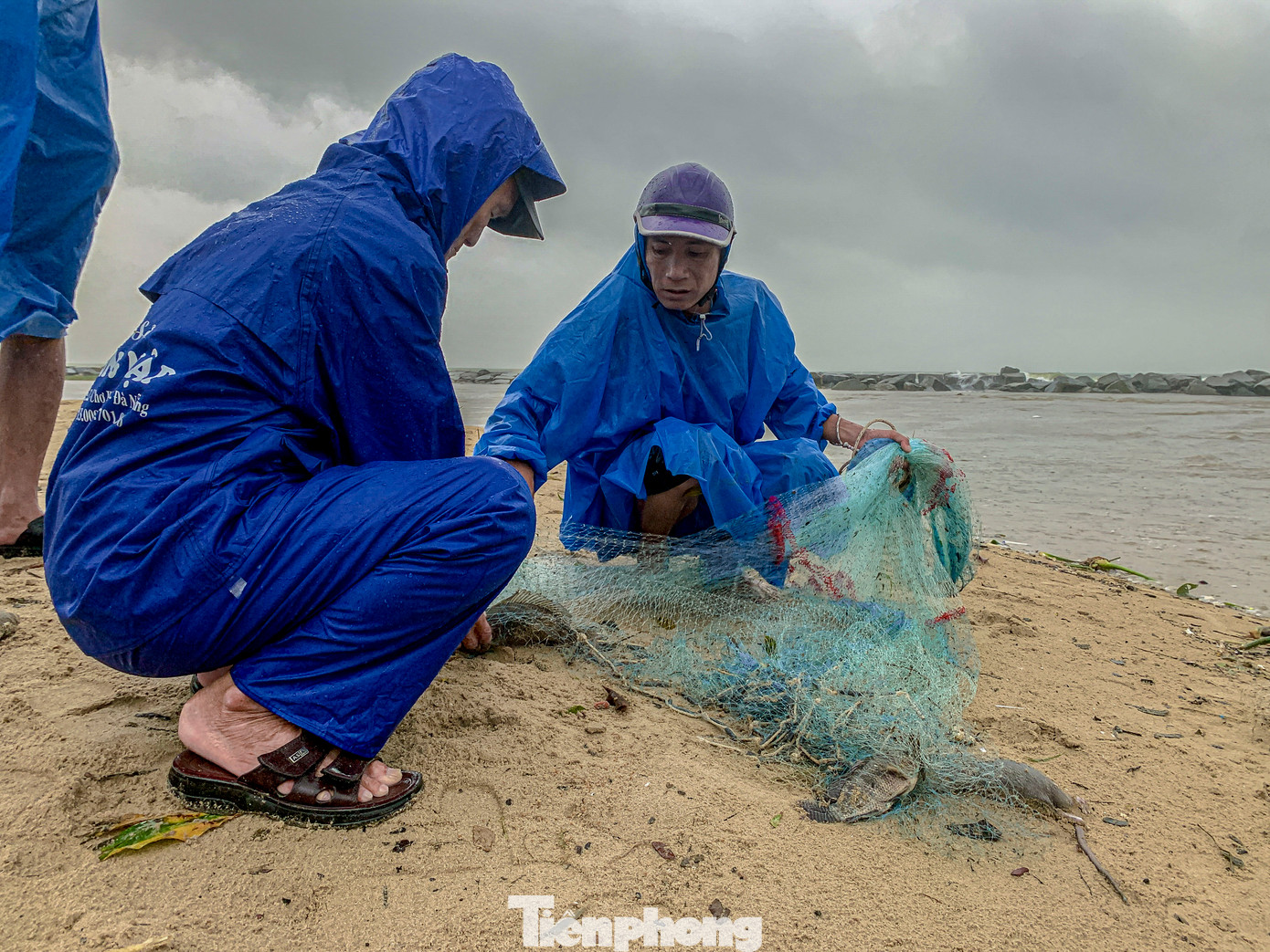 Nhiều cá lớn như cá mè, cá rô phi... từ các ao, hồ đổ về đã sa lưới.