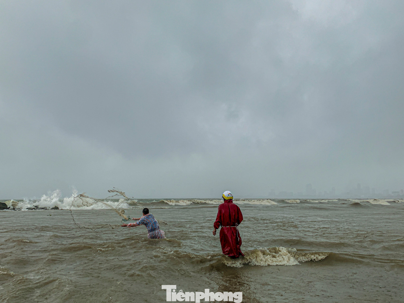 Theo kinh nghiệm của người dân, chỉ cần đứng ở đầu cống nơi luồng nước ngọt chảy ra và thả lưới, cá sẽ dễ dàng mắc vào.