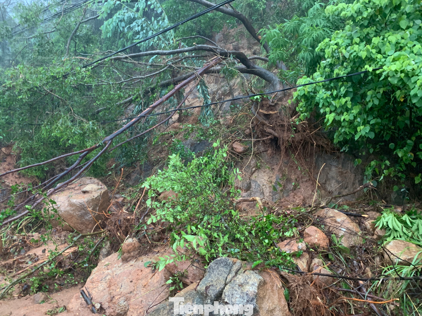 Nhiều điểm sạt lở đất đá đổ xuống đường, cây cối ngã đổ.