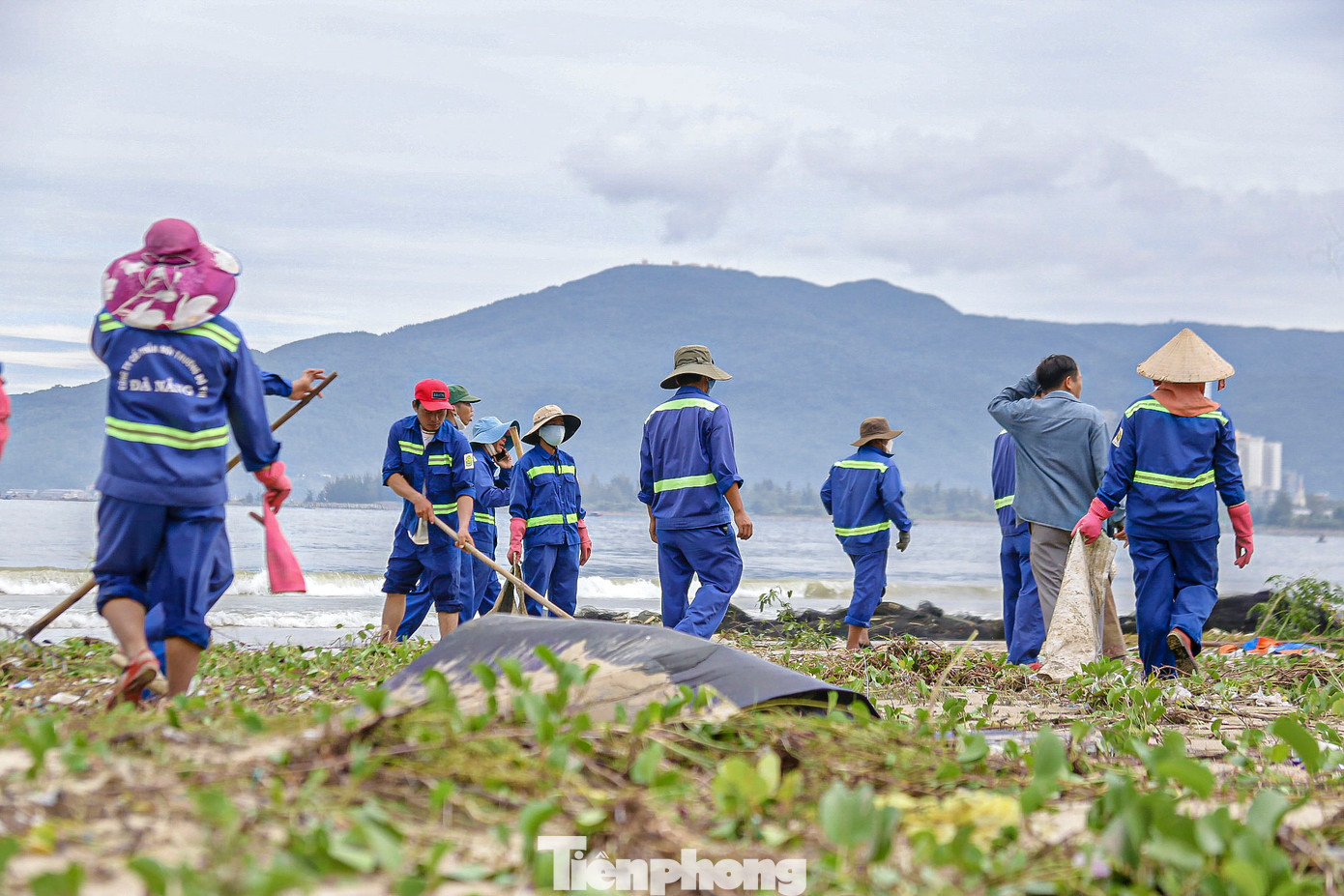 Ông Trần Chợ - Đội Trưởng đội môi trường Xí nghiệp Thanh Khê cho biết, sau bão số 6, rác thải tấp vào biển Đà Nẵng với số lượng lớn nên đã huy động công nhân vệ sinh ra quân khắc phục, thu dọn. "Đội sẽ dọn rác từ bãi biển Nguyễn Tất Thành lên biển Nam ô. Dự kiến khoảng 1 tuần sẽ dọn sạch rác tại bãi biển để trả lại môi trường sạch đẹp", ông Chợ nói.