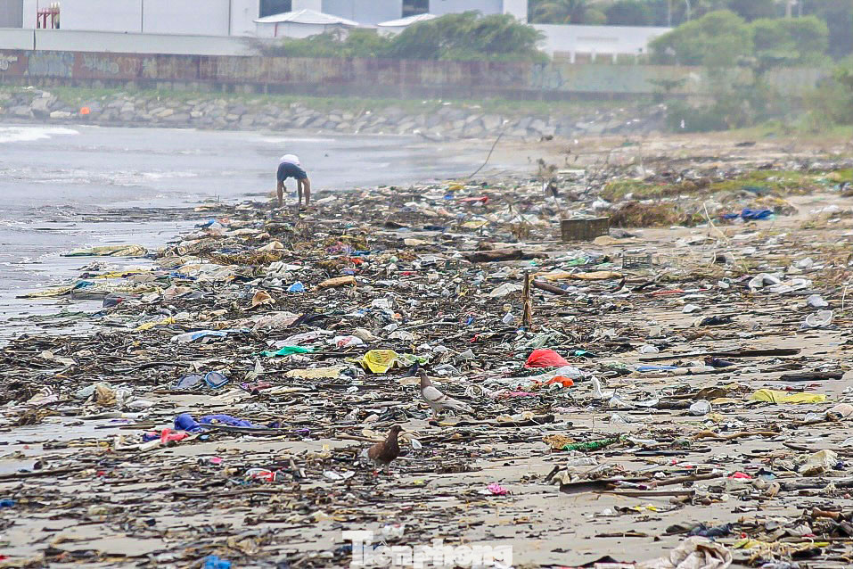 Rác thải trải dài dọc bờ biển Nguyễn Tất Thành bốc mùi hôi, ô nhiễm.
