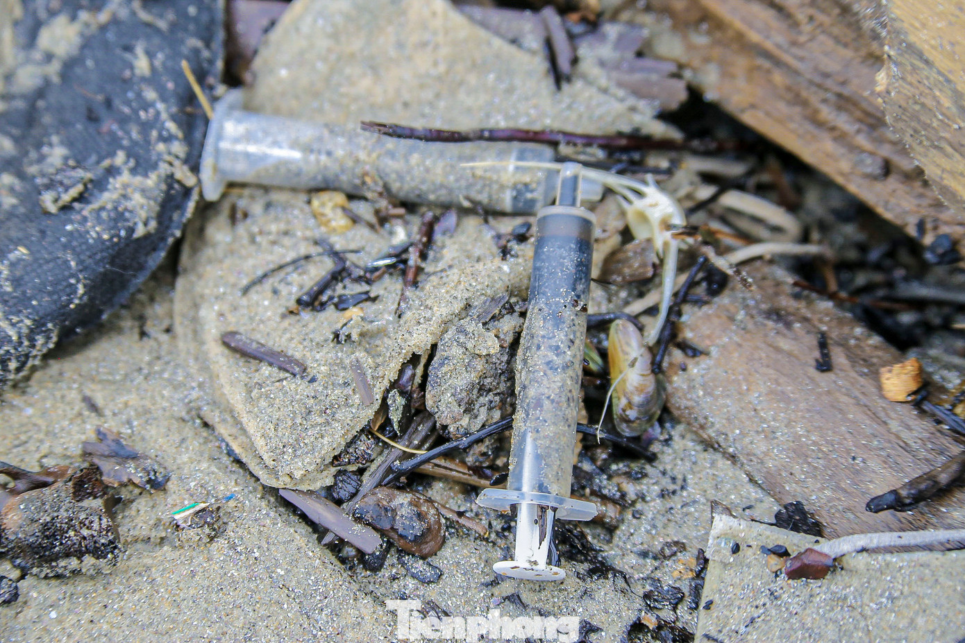 Dọc bờ biển số lượng lớn rác tấp vào bờ chủ yếu là chai nhựa, bao ni lon, kim tiêm...