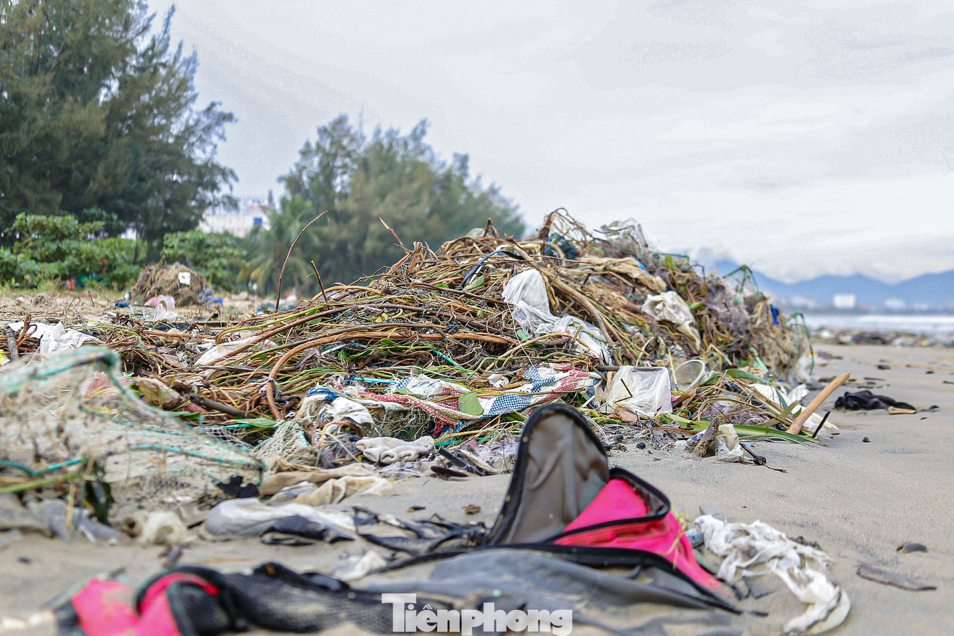 Dọc bờ biển số lượng lớn rác tấp vào bờ chủ yếu là chai nhựa, bao ni lon, kim tiêm...