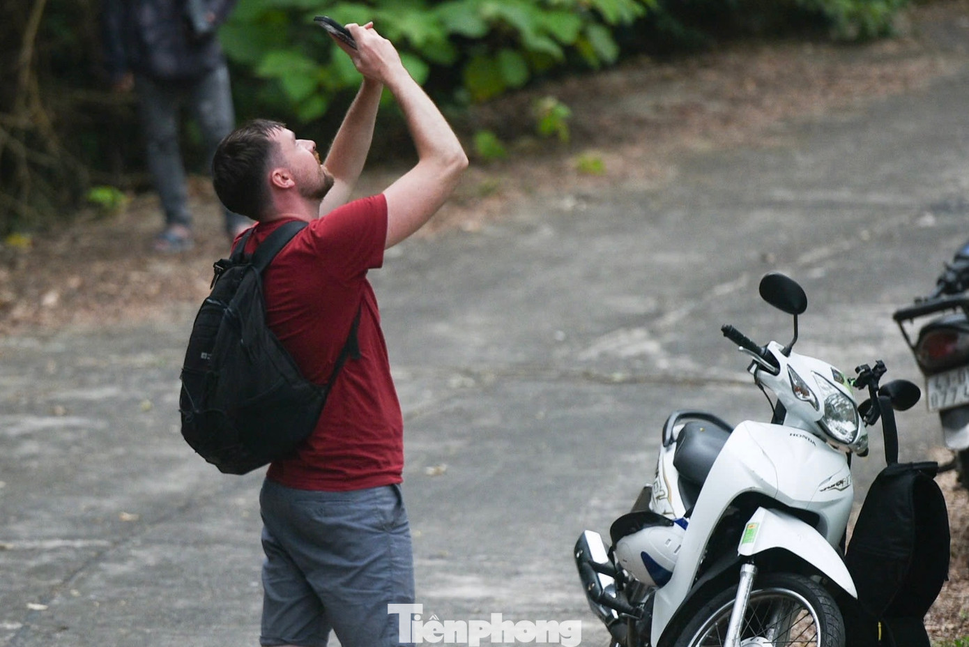 Nhiều du khách, nhiếp ảnh gia đến Sơn Trà để "săn" chân dung loài linh trưởng quý hiếm. Nhiều du khách, nhiếp ảnh gia đến Sơn Trà để "săn" chân dung loài linh trưởng quý hiếm.